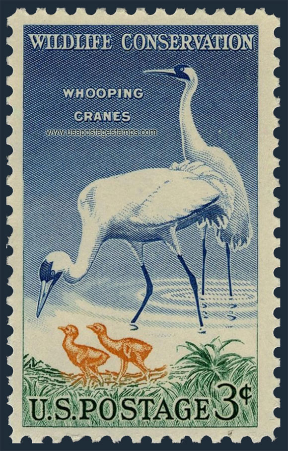 US 1957 Wildlife Conservation ; Whooping Crane 3c. Scott. 1098