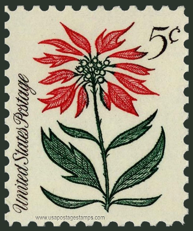 US 1964 Christmas ; Poinsettia (Euphorbia pulcherrima) 5c. Scott. 1256