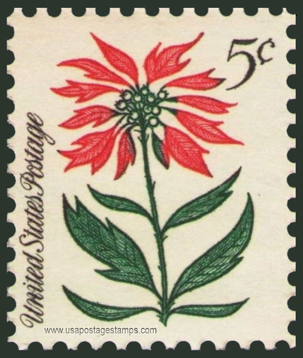 US 1964 Christmas ; Poinsettia (Euphorbia pulcherrima) 5c. Scott. 1256a