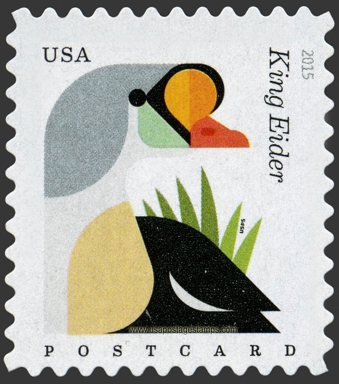 US 2015 King Eider : Coastal Birds 35c. Scott. 4992