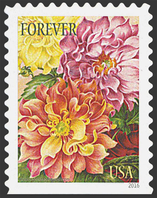 US 2016 Dahlias Flowers : Botanical Art 49c. Scott. 5045
