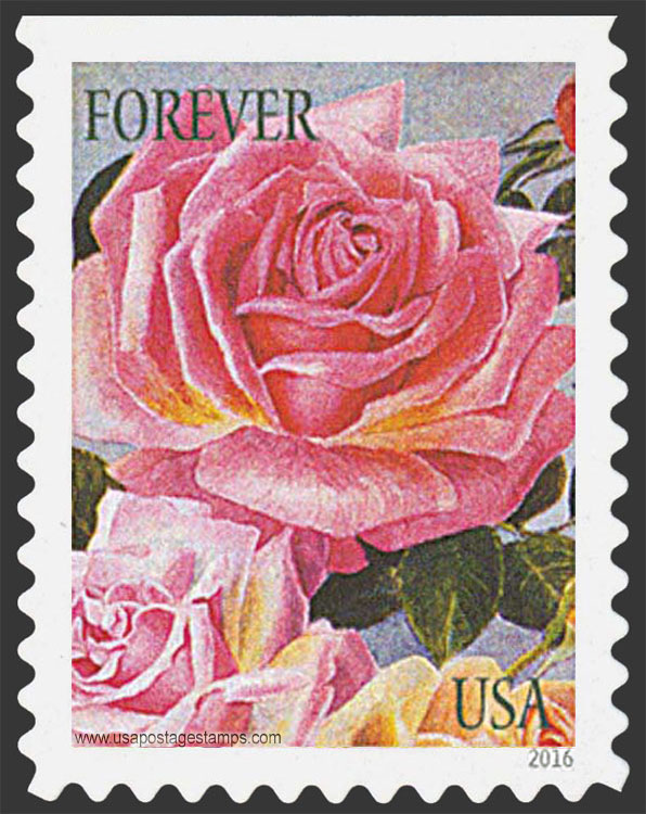 US 2016 Roses Flowers : Botanical Art 49c. Scott. 5047