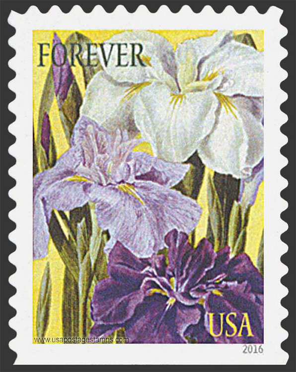 US 2016 Japanese Iris Flowers : Botanical Art 49c. Scott. 5048