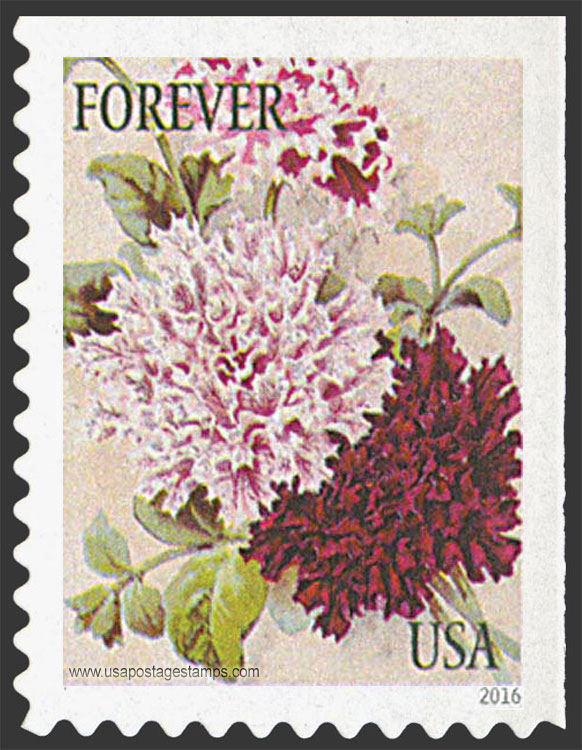 US 2016 Petunias Flowers : Botanical Art 49c. Scott. 5050