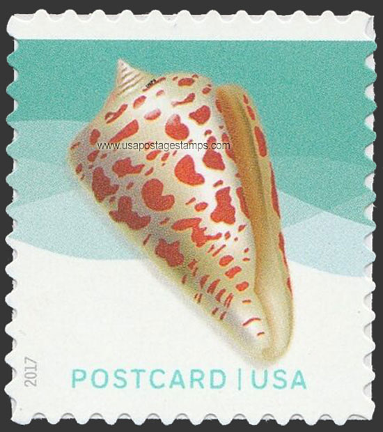 US 2017 Alphabet Cone : Seashells 34c. Scott. 5165