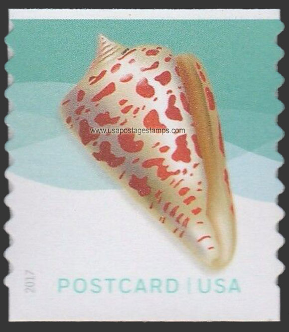 US 2017 Alphabet Cone : Seashells ; Coil 34c. Scott. 5167