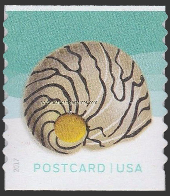US 2017 Spotted Nerite : Seashells ; Coil 34c. Scott. 5168