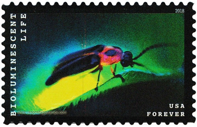 US 2018 Firefly : Bioluminescent Life 50c. Scott. 5268