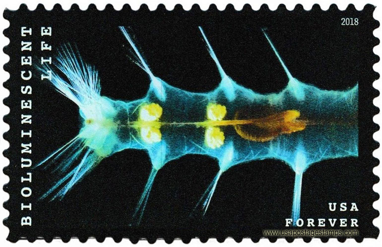 US 2018 Marine Worm : Bioluminescent Life 50c. Scott. 5270
