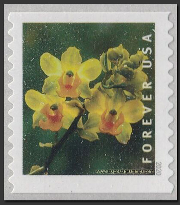 US 2020 Yellow Cow Horn Orchid ; Coil 55c. Scott. 5436