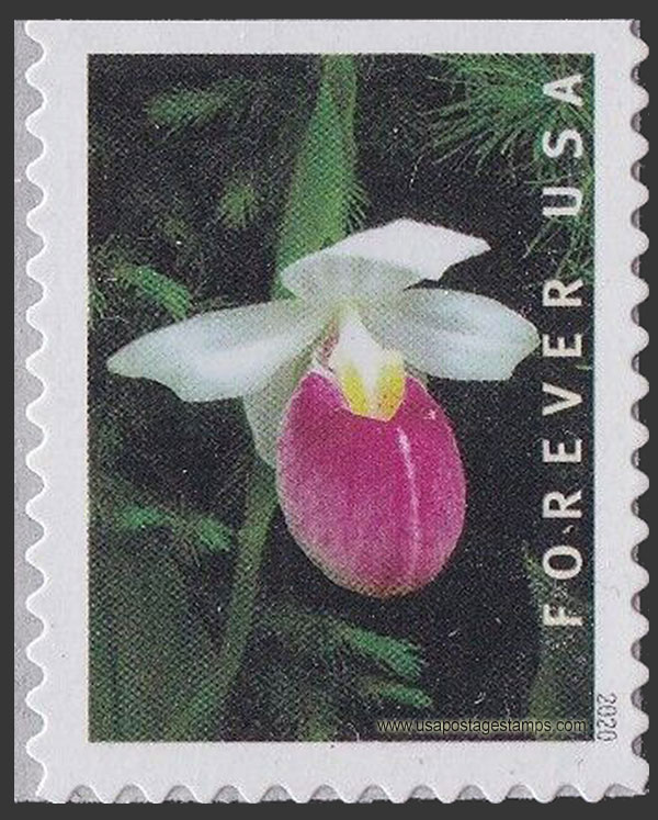 US 2020 Showy Lady's Slipper Orchid 55c. Scott. 5448