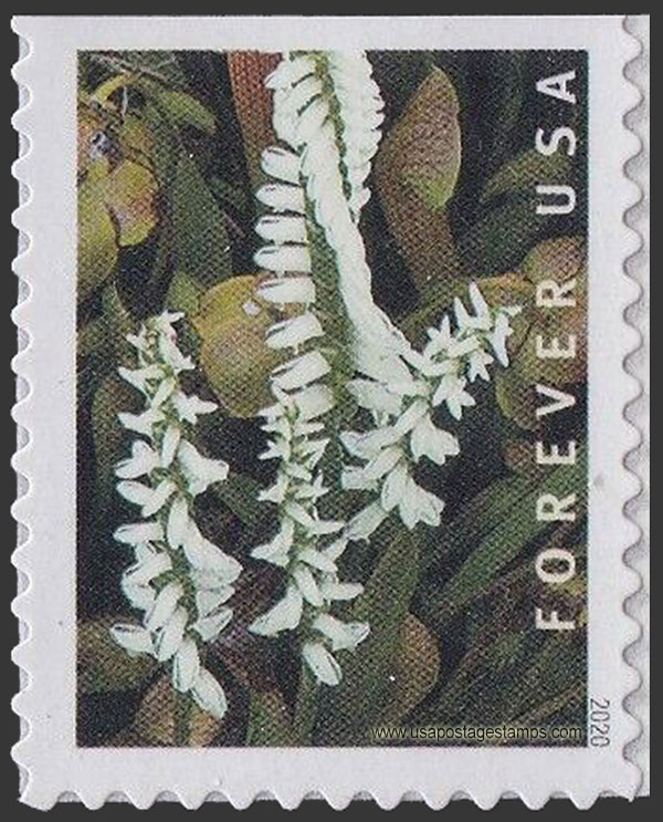 US 2020 Marsh Lady's Tresses Orchid 55c. Scott. 5449
