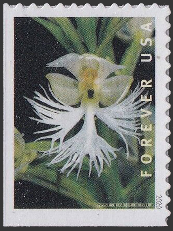 US 2020 Eastern Prairie Fringed Orchid 55c. Scott. 5450