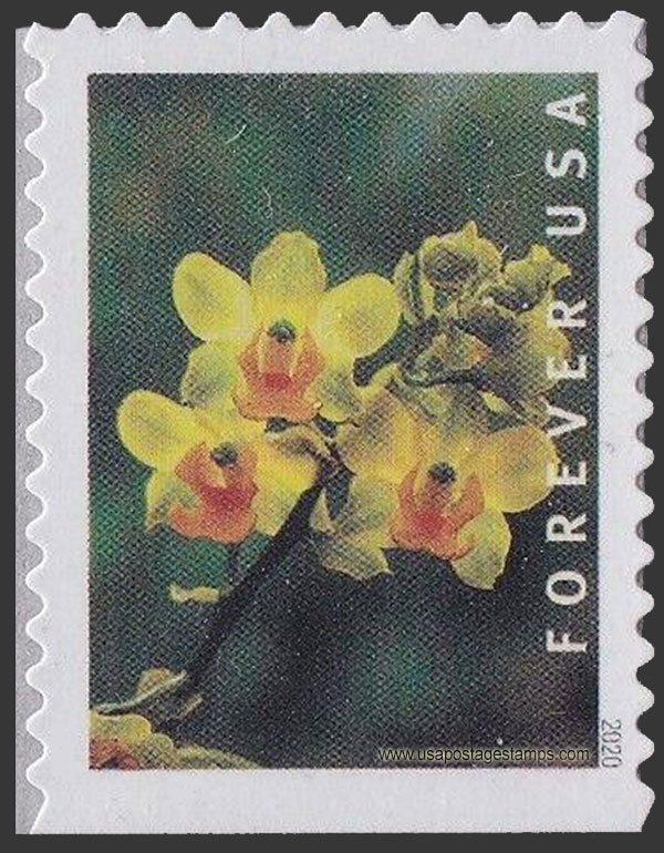 US 2020 Yellow Cow Horn Orchid 55c. Scott. 5453