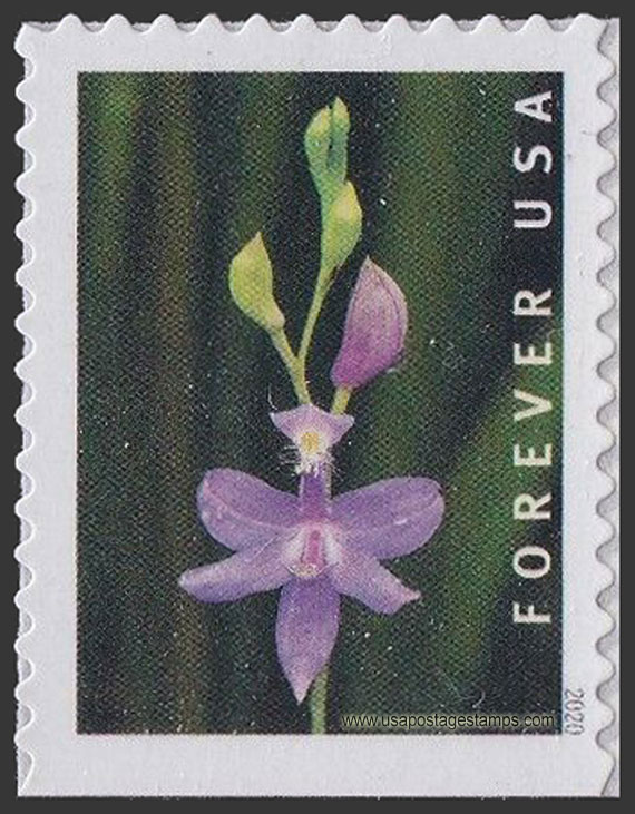US 2020 Tuberous Grass Pink Orchid 55c. Scott. 5454