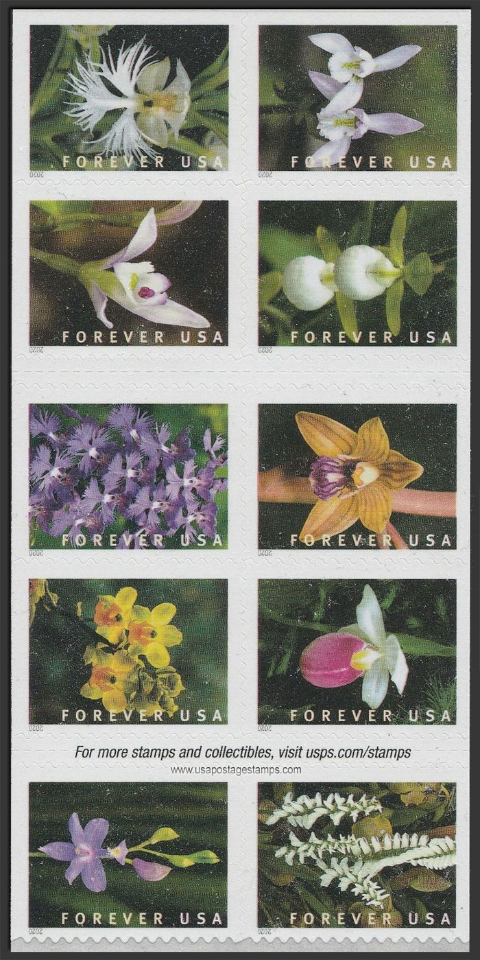 US 2020 Wild Orchids ; Se-tenant 55c.x10 Scott. 5454a