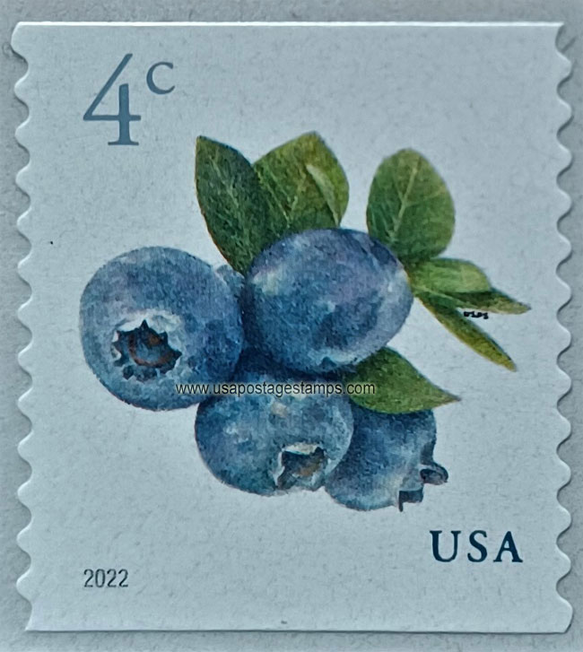 US 2022 Blueberry Fruits ; Coil 4c. Scott. 5653