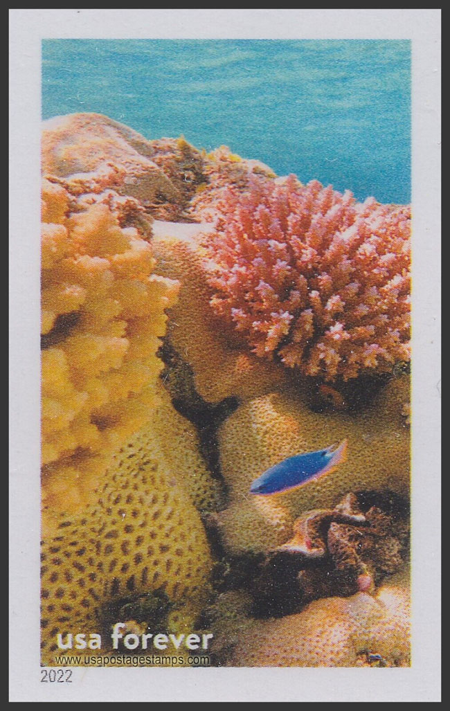 US 2022 Corals and Fish, Rose Atoll Nat Marine Sanctuary of American Samoa, Imperf. 60c. Scott. 5713qo