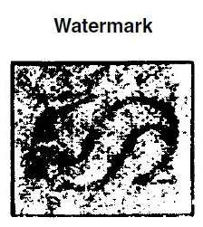 US 1908 stamps USPS Double-lined Watermark sideway